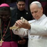 CAMEROUN : NOUS VOULONS AUSSI MANGER !